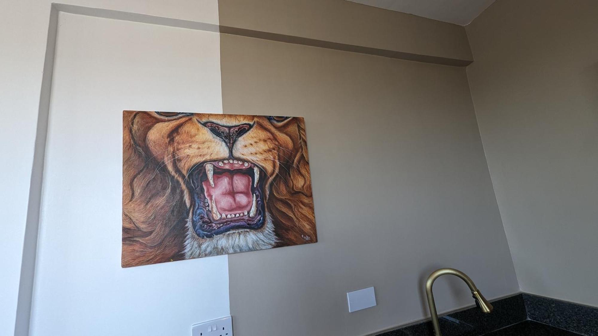 Mufasa City Hostel And Apartments أروشا الغرفة الصورة